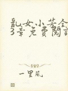 乱女小芳全集13章免费阅读封面