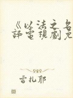 《以法之名》张译电视剧免费观看全部