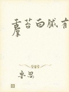 舌苔白腻有齿痕厚