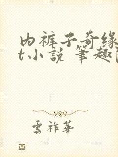 内裤子奇缘txt小说 笔趣阁封面