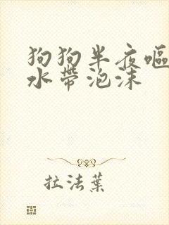 狗狗半夜呕吐黄水带泡沫