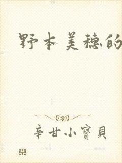 野本美穗的电影