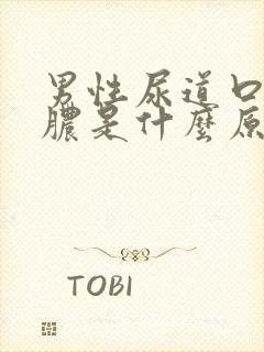 男性尿道口流白脓是什么原因引起的封面