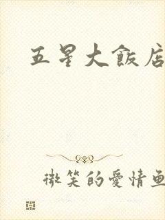 五星大饭店小说