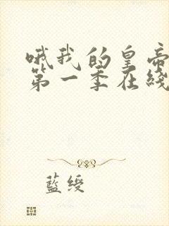 哦我的皇帝陛下第一季在线观看