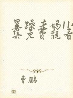 暴躁老妈114集免费观看电视剧下载