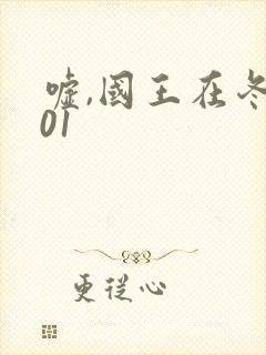 嘘,国王在冬眠01封面