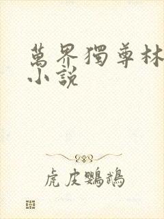 万界独尊林枫林小说