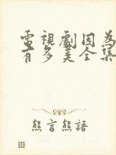 电视剧因为爱情有多美全集封面