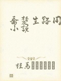 乔楚生路同人文小说