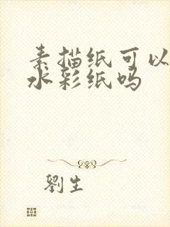 素描纸可以代替水彩纸吗