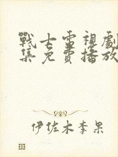 战士电视剧40集免费播放封面