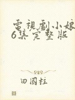 电视剧小娘惹46集完整版封面