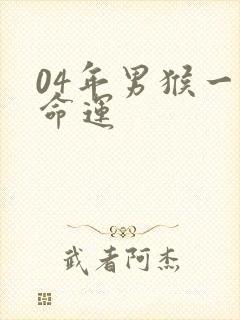 04年男猴一生命运封面