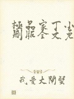 极品家丁小说未删版全文免费阅读