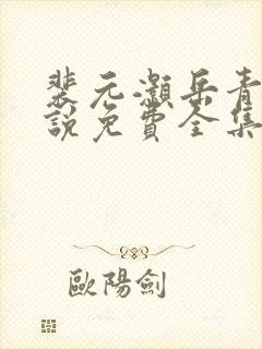 裴元灏岳青婴小说免费全集封面