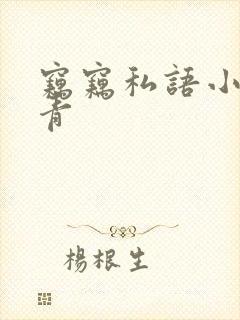 窃窃私语小说赵青