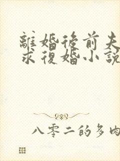 离婚后前夫哭着求复婚小说全文阅读