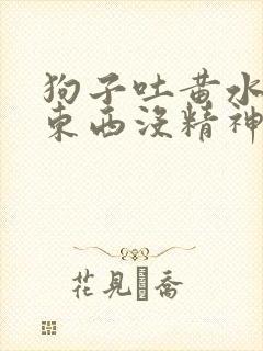 狗子吐黄水不吃东西没精神是什么情况封面