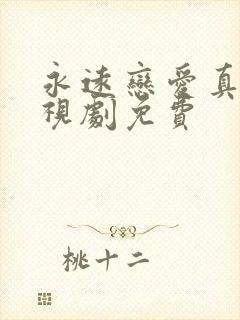 永远恋爱真美电视剧免费