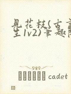 见花枝(古言重生1v2)笔趣阁