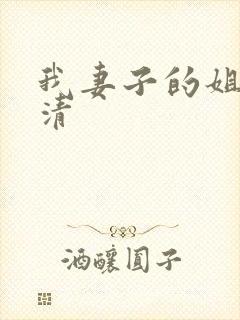 我妻子的姐姐高清