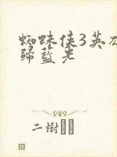 蜘蛛侠3英雄无归蓝光