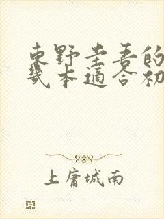 东野圭吾的书哪几本适合初中生看