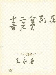 十二公民在线观看免费封面