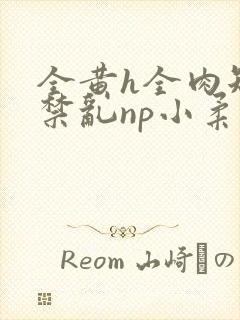 全黄h全肉短篇禁乱np小柔