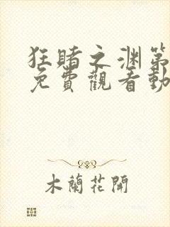 狂赌之渊第二季免费观看动漫封面