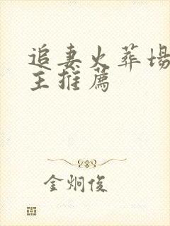 追妻火葬场双男主推荐