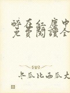 醉在红尘中小说免费阅读全文最新封面