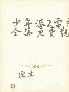 少年派2电视剧全集免费观看完整