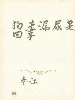 狗老漏尿是怎么回事