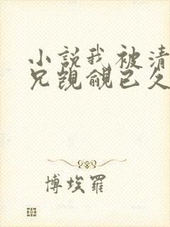 小说我被清冷师兄觊觎已久小说