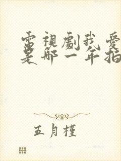 电视剧我爱我家是哪一年拍的