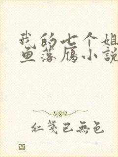 我的七个姐姐沉鱼落雁小说在线阅读