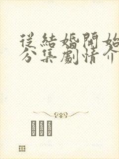 从结婚开始恋爱分集剧情介绍