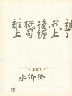 离职后,我被前上司缠上了