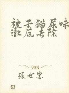 被子猫尿味怎么彻底去除