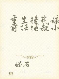 重生后我嫁给了前任他叔小说