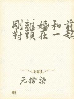 刚离婚和前妻死对头在一起了短剧免费观看