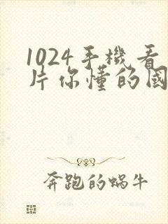 1024手机看片你懂的国产
