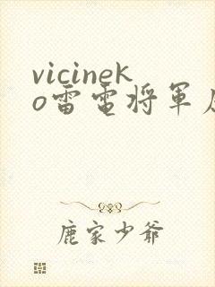 vicineko雷电将军原神同人