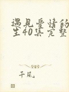 遇见爱情的利先生40集完整版