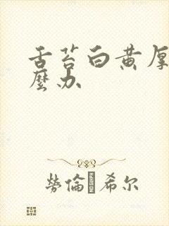 舌苔白黄厚腻怎么办