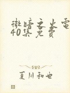 微暗之火电视剧40集免费