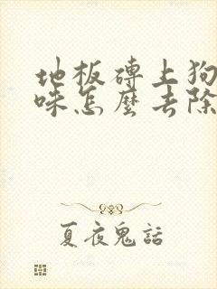 地板砖上狗尿骚味怎么去除