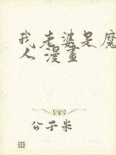 我老婆是魔王大人 漫画